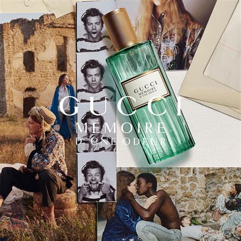 advert gucci harry style|Gucci perfume Harry Styles price.